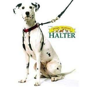  Sporn Training Dog Halter   Large: Pet Supplies