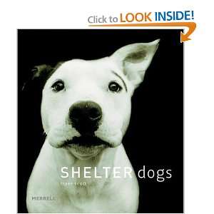  Shelter Dogs [Hardcover] Traer Scott Books