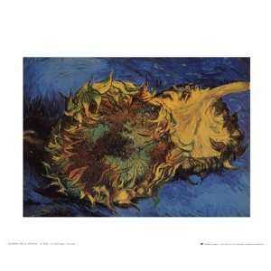  Tournesol by Vincent Van Gogh 12x10
