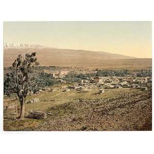  Photochrom Reprint of General view, Baalbek, Holy Land, i 