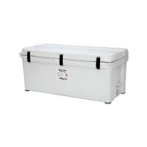  DeepBlue Performance Cooler.White: Home Improvement