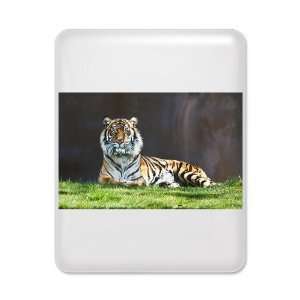  iPad Case White Bengal Tiger Stare HD: Everything Else