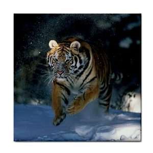    Tiger Ceramic Tile Coaster Great Gift Idea: Office Products