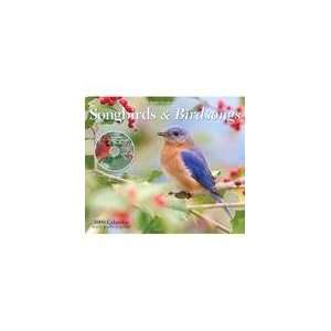  Songbirds & Birdsongs 2009 Deluxe Wall Calendar & Audio CD 