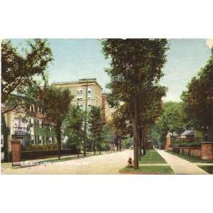 1900 Vintage Postcard North Street and Lenox Hotel Buffalo New York