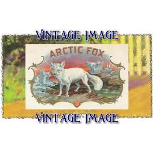 inch x 1.5 inch (6.35 x 3.8cm) Gloss Stickers Animals Arctic Fox 
