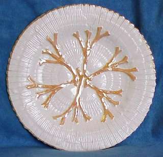 Antique Majolica Etruscan Albino Seaweed Shell Plate  