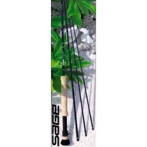  Sage Xi2 4 Piece Fly Rod: Sports & Outdoors