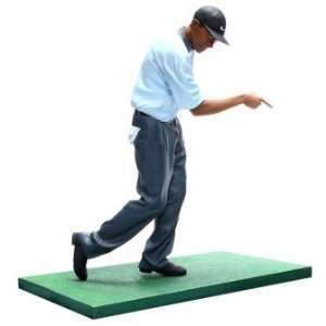   Upper Deck Pro Shots   Tiger Woods Finger Pointing: Sports & Outdoors