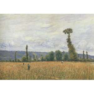   Sisley   24 x 16 inches   The Hills of La Bouille: Home & Kitchen