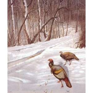  David Maass   Early Winter Morning Turkeys