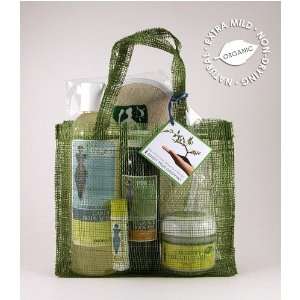  Brigit True Organics   Citrus Spa Bag Beauty