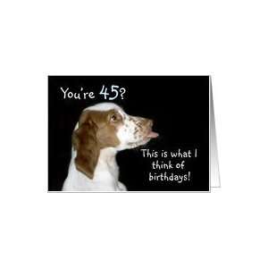 Brittany Spaniel Birthday 45 Card