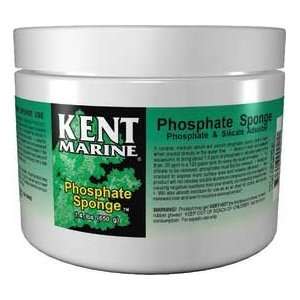  Kent Phosphate Sponge 40 Lb Bulk