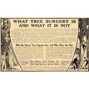  1910 Ad Tree Surgery John Davey Experts Method Hacking 