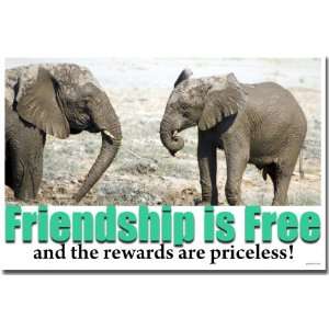  Friendship Is Free and the Rewards Are Priceless 