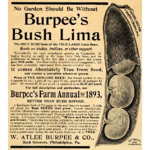  1893 Ad W. Atlee Burpees Bush Lima Bean Pods Seeds Farm 