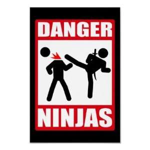  Danger Ninjas Poster: Home & Kitchen