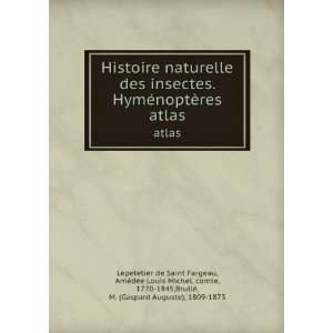  Histoire naturelle des insectes. HymÃ©noptÃ¨res. atlas 