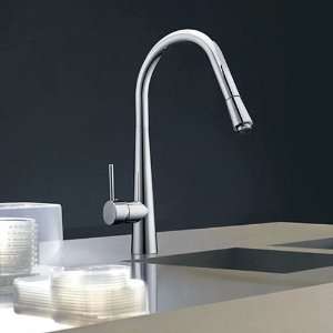   Handle High Arc Pull Out Kitchen Sink Faucet, Chrome: Home Improvement