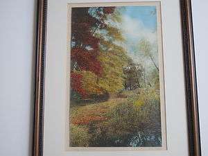 Leaf Strewn Brook By Wallace Nutting Lithograph 13 X 20 Framed 