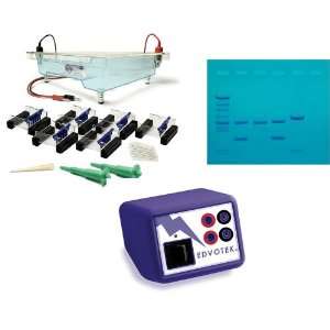  DNA Electrophoresis Tank: Office Products