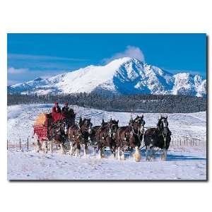   Clydesdales in Snow Covered Mountains   14 x 19 Canvas Electronics