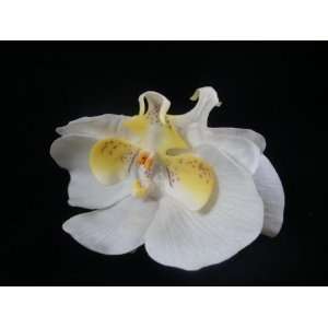    NEW Double White Latex Orchid Flower Hair Clip, Limited.: Beauty