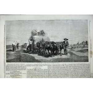  Haymaking Farming 1859 Cattle Cart Rosa Boneur Animals 