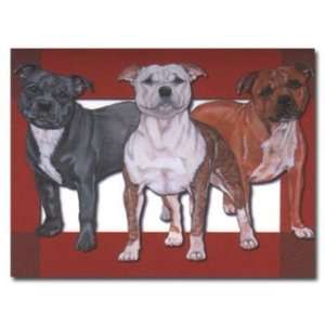  Staffies Gift Enclosure Cards   Set of 5 