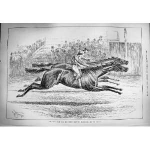   1884 Dead Heat Derby Horse Racing Harvester St. Gatien: Home & Kitchen