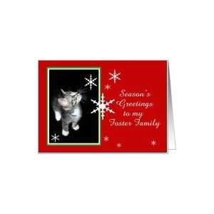  Kitten and Snowflakes, Foster Family Card Health 