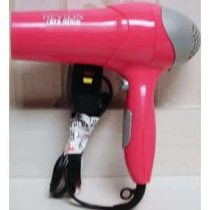  Professional Hair Dryer for Any Type of Hair Beauty