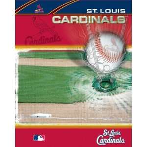  St. Louis Cardinals Team Portfolio: Sports & Outdoors