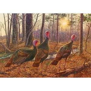  Wise Guys   Wild Turkeys by Wildlife Artist Randy 