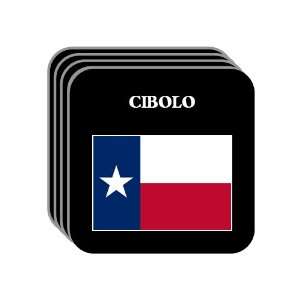  US State Flag   CIBOLO, Texas (TX) Set of 4 Mini Mousepad 