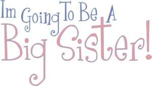 Going to Be a Big SIster Toddler T shirt All Sizes  