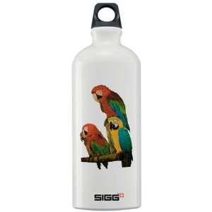  Sigg Water Bottle 1.0L Family of Parrots: Everything Else