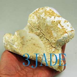 Natural Onyx/Agate Carving / Sculpture Statue  