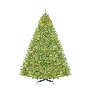  Sequoia Pre Lit Full Christmas Tree: Home & Kitchen