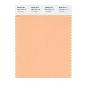  PANTONE SMART 13 1023X Color Swatch Card, Peach Fuzz: Home 
