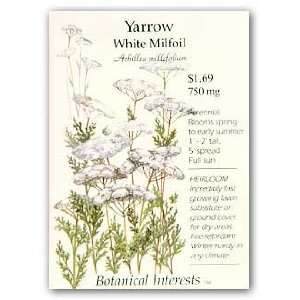  Yarrow White Milfoil Seed Patio, Lawn & Garden