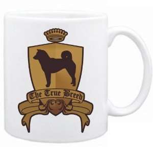    New  Shiba Inus   The True Breed  Mug Dog: Home & Kitchen
