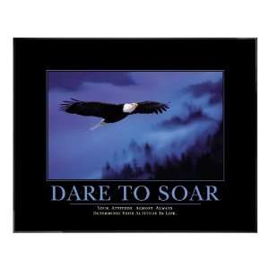  Successories Dare to Soar Motivational Poster Office 