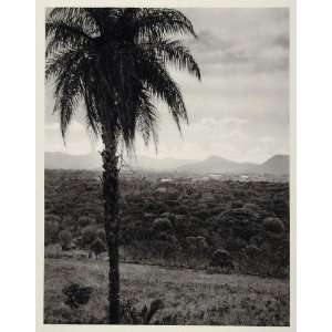  1931 Palm Tree Santa Ana El Salvador Landscape Mountain 