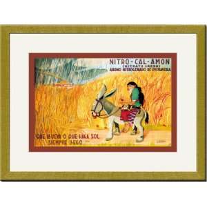    Gold Framed/Matted Print 17x23, Nitro Cal Amon: Home & Kitchen
