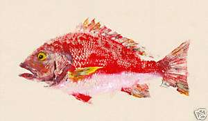 Gyotaku Fish Rubbing   Red Snapper  