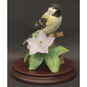 Sadek Sadek Bird Figurines with Box, Collectible: Home 