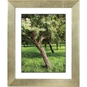   Orchard Meadow Silver Frame Giclee 24 High Wall Art: Home & Kitchen