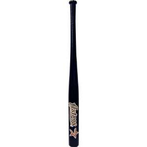  MLB Houston Astros 18 Inch Transfer Bat